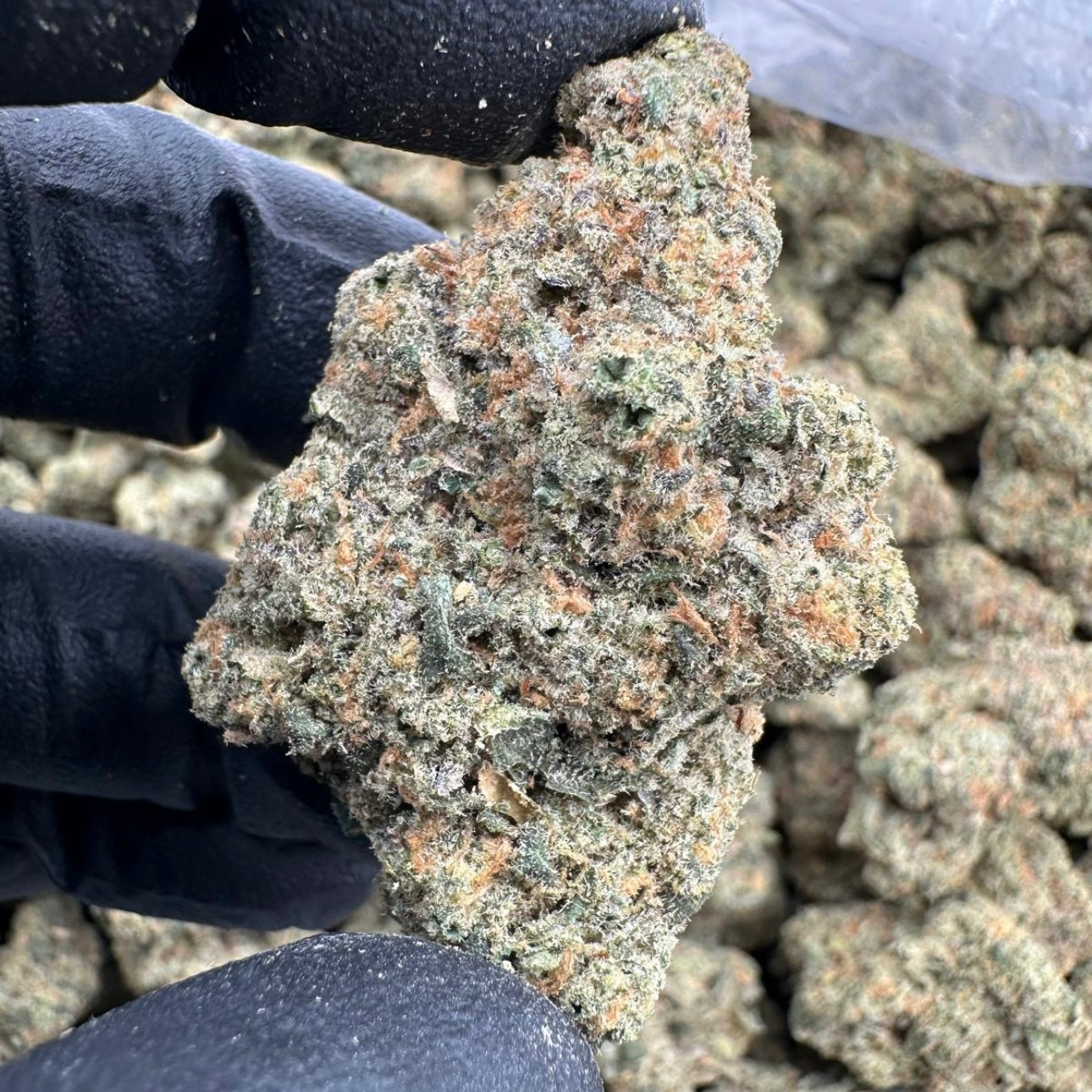Sour Pez AAA Exotic THCA