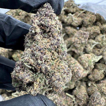 Lava Cake AAA Exotic THCA